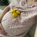 거봉약국 | 9월 일상 | 김포 자투라 | 카페 느리게 | 아기 손수건 세탁 | 부천 애슐리 퀸즈 | 월천불쭈꾸미 | 윤스...