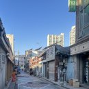 평화건재약업사 이미지