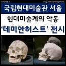 현대미술관 | 데미안허스트 국립현대미술관 서울관 전시 후기