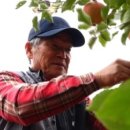 김영자농장 이미지