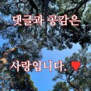 디마네 커피로스터스 이미지