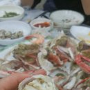 데일리민디 이미지