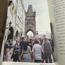 강이석 카카오 검색결과