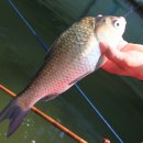 동암 낚시터 이미지