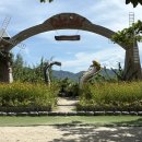 사항 | 나트랑 화란섬 원숭이섬 주의사항 먹이주기 후기