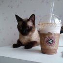 감천1동-6 이미지