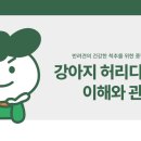 미유펫동물병원