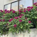 늘,그곳 이미지