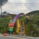 주정차단속-104 이미지