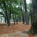 금산-10 이미지
