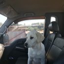 혜윤농장 이미지