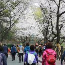 수봉공원 (망배단) 이미지