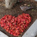 동백공원 공영주차장 내 이미지