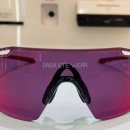 디노사이버 이미지