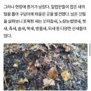 참새고기로 희생된 1000마리의 산새들 이미지