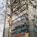 이가경전통한복 이미지