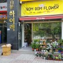 봄봄 이미지