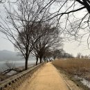 연  평 | 4월 5월 서울근교 당일치기 양평 두물머리 데이트코스 연핫도그 주차정보 내돈내산