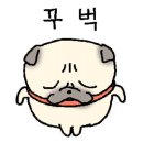 제이엠댄스핏에어로빅