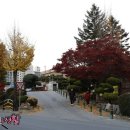 일미튀김