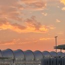 태평양전자 | 하와이 태교여행 인천 - 호놀룰루 대한항공 직항 임산부 좌석, 기내식 후기