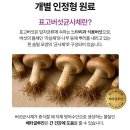 HK생활건강 | 대학생 영양제 추천 | 밸런스포텐시:이뮨 (밸포이) 후기