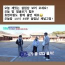 오늘 살림남에 모처럼 3남매가 출동하네요 이미지