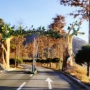 함평자연생태공원캠핑장 이미지