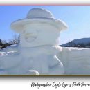 평창황병산사냥민속 | 평창 대관령 눈꽃축제 2026 일정, 요금, 주차, 강원도 겨울 눈 구경 가볼 만한 곳 완벽 총정리!