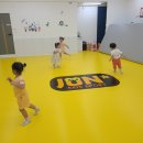 안성유도관 이미지