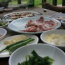 산돼지마을 Daum카페
