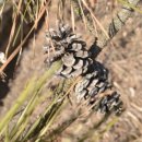 천명농장 이미지