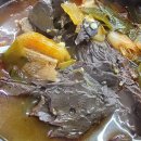 복어명가 임진강 이미지