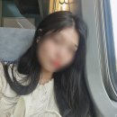 2박3일 혼자 부산 여행 : 청사포 벚꽃놀이