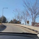 쏭이네마트 | 애견동반 장박후기/양주 은하수캠핑장