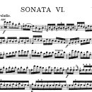 손 혈자리 수지요법 이미지