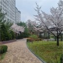 판교봇들공인중개사사무소 | 판교 지역 부동산 중개, 봇들7단지부터 시작하는 맞춤형 서비스 알아보기