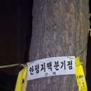 안평1 티스토리