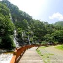 예솔이네집 이미지