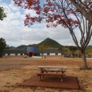 청남초등학교 이미지