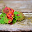 산천한의원 이미지