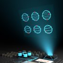 네이쳐소스 이미지