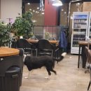 꾸어바666 이미지