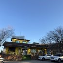 땅콩애견놀이터 이미지