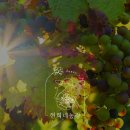 현희 농장 이미지