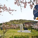 목포자연사문화박물관 이미지