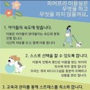 펫러버 그루밍 이미지
