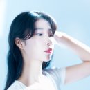 연꽃사진관 이미지