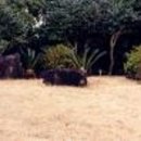 옥기농장 | [향토문화]&#39;무너진 연디&#39;..의귀리 마조단(멸실)터(추정)