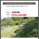 2020-주157 이미지